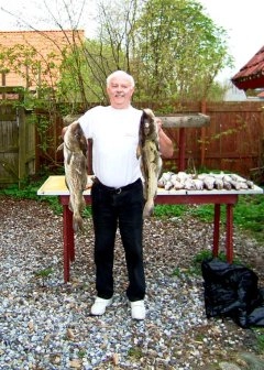 zobacz camping - zdjęcie 8