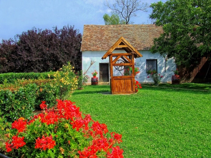 zobacz camping - zdjęcie 4