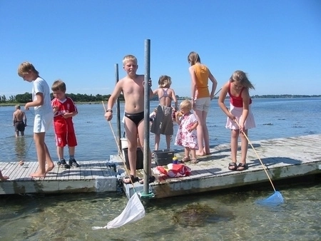 zobacz camping - zdjęcie 3