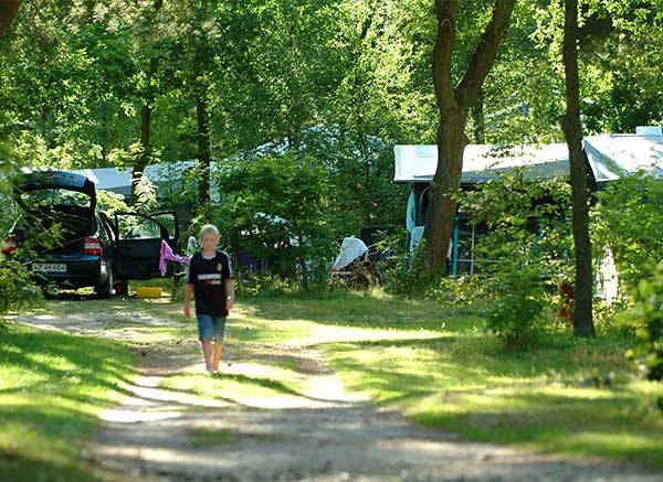 zobacz camping - zdjęcie 8