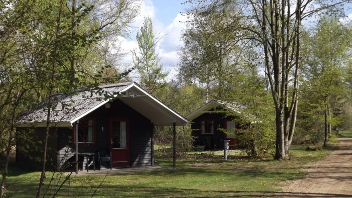 Ringkøbing Camping - zdjęcie 3