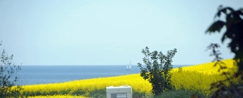 Rugaard Camping - zdjęcie 1