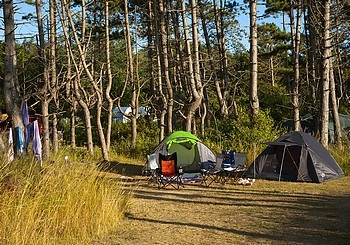 zobacz camping - zdjęcie 12
