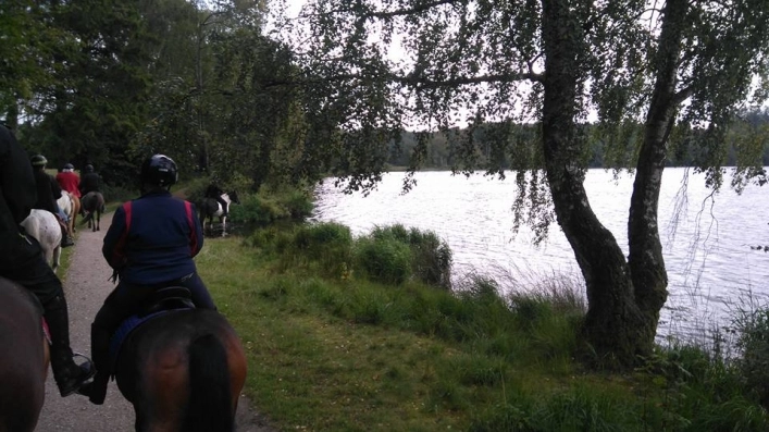 Safari Camping - zdjęcie 3