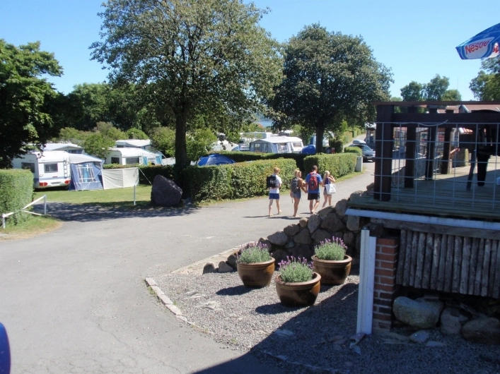 zobacz camping - zdjęcie 24