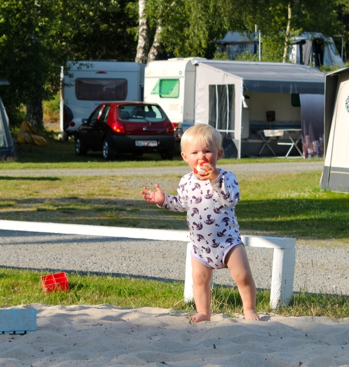 zobacz camping - zdjęcie 16