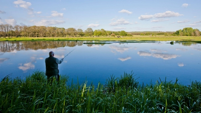 zobacz camping - zdjęcie 16