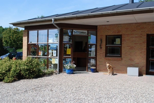 zobacz camping - zdjęcie 15