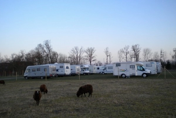 Skærbæk Familie Camping - zdjęcie 1