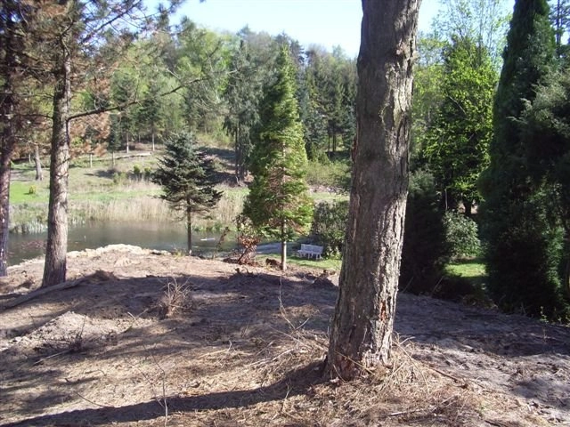 zobacz camping - zdjęcie 4