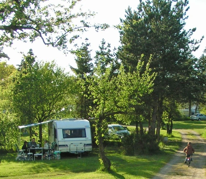 zobacz camping - zdjęcie 11