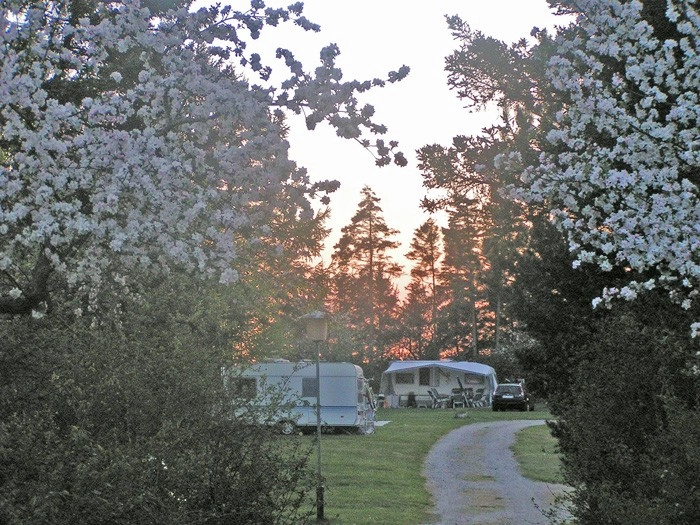 zobacz camping - zdjęcie 8