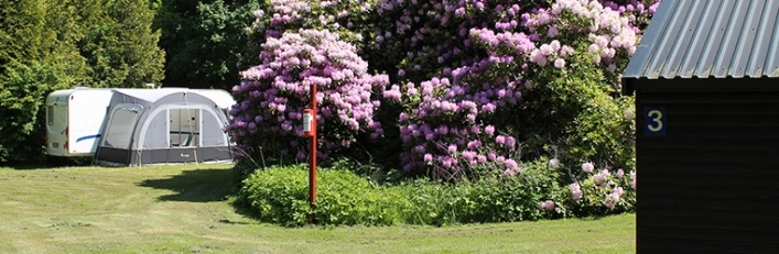 zobacz camping - zdjęcie 3