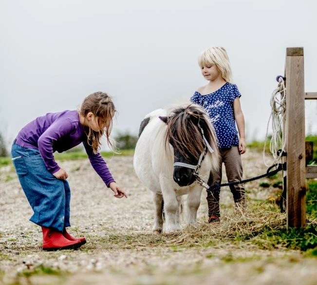 zobacz camping - zdjęcie 9