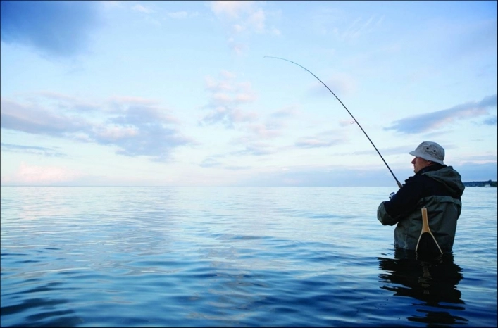 zobacz camping - zdjęcie 21