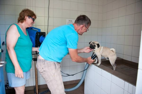 zobacz camping - zdjęcie 11