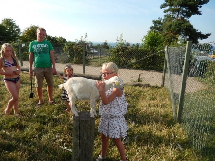 zobacz camping - zdjęcie 24