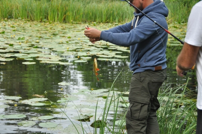 Skovly Camping - zdjęcie 4