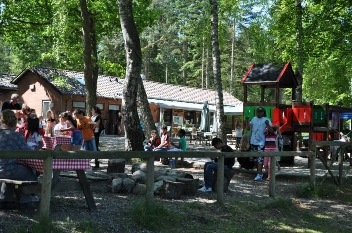 zobacz camping - zdjęcie 14