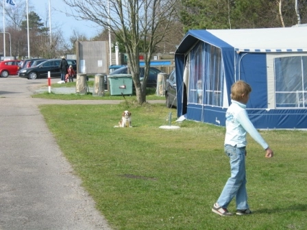 zobacz camping - zdjęcie 6