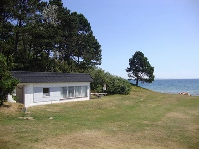 Sølystgaard Camping - zdjęcie 4