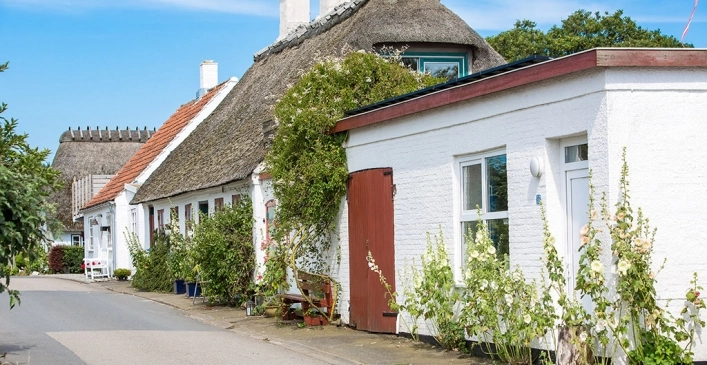 zobacz camping - zdjęcie 5