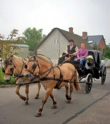 zobacz camping - zdjęcie 3