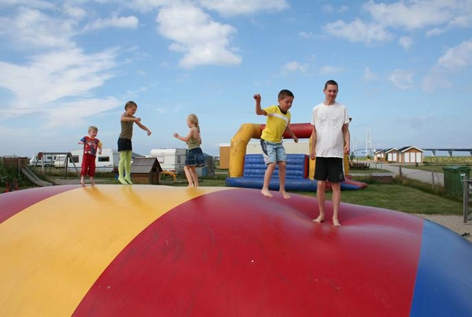 zobacz camping - zdjęcie 14