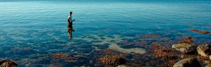 zobacz camping - zdjęcie 1