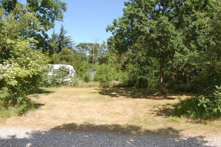 zobacz camping - zdjęcie 15