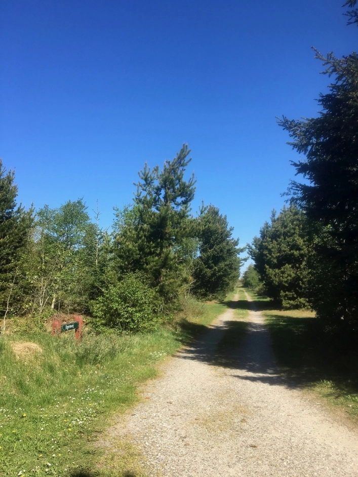 zobacz camping - zdjęcie 10