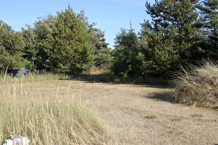 Tranum Klit Camping - zdjęcie 3