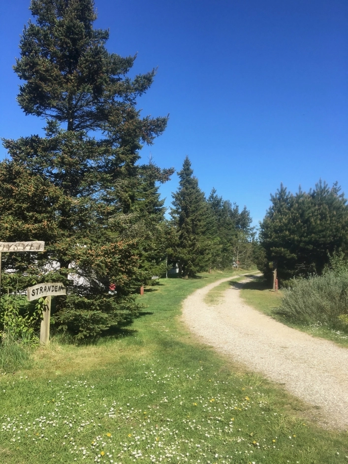 Tranum Klit Camping - zdjęcie 1