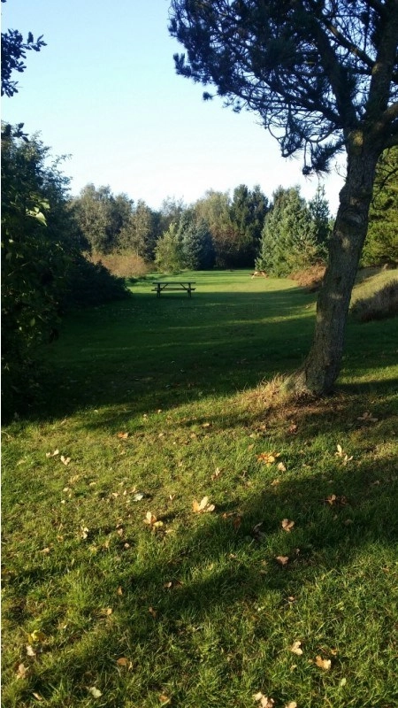 zobacz camping - zdjęcie 20