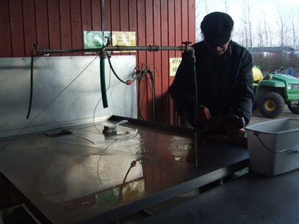 zobacz camping - zdjęcie 5