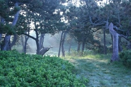 zobacz camping - zdjęcie 30