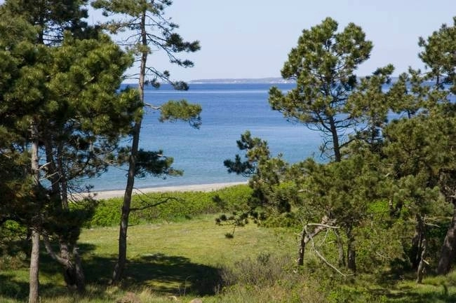 zobacz camping - zdjęcie 5