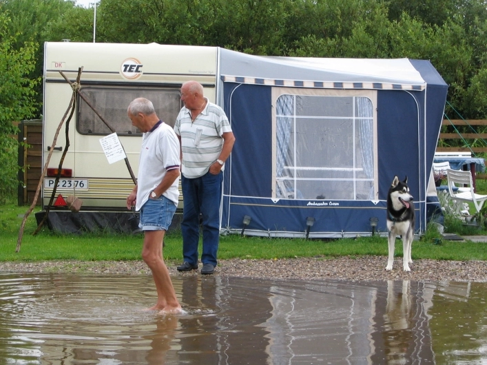 zobacz camping - zdjęcie 18