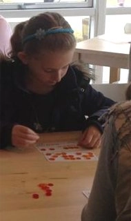 zobacz camping - zdjęcie 6