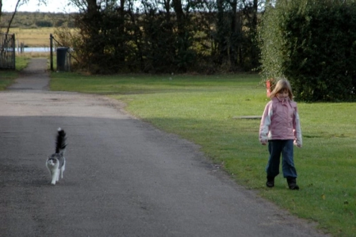 Vesterlyng Camping - zdjęcie 1