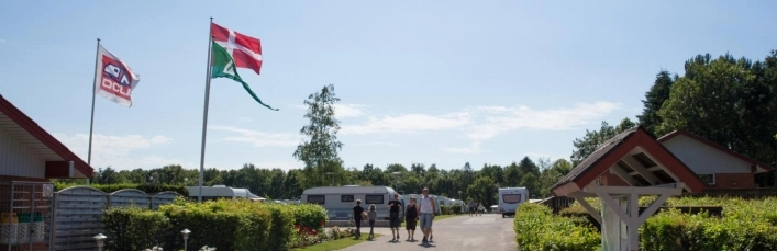 zobacz camping - zdjęcie 9