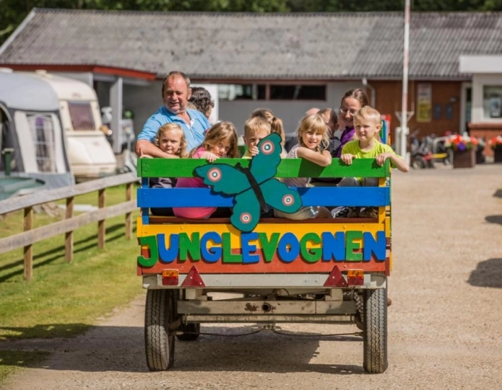 zobacz camping - zdjęcie 2