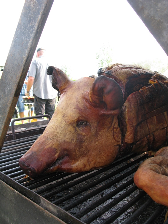 zobacz camping - zdjęcie 6