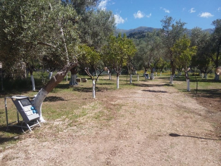 zobacz camping - zdjęcie 16