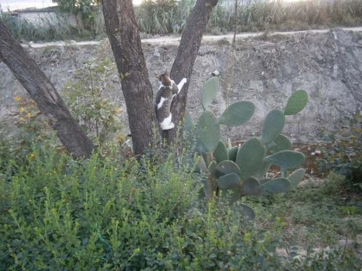 zobacz camping - zdjęcie 18