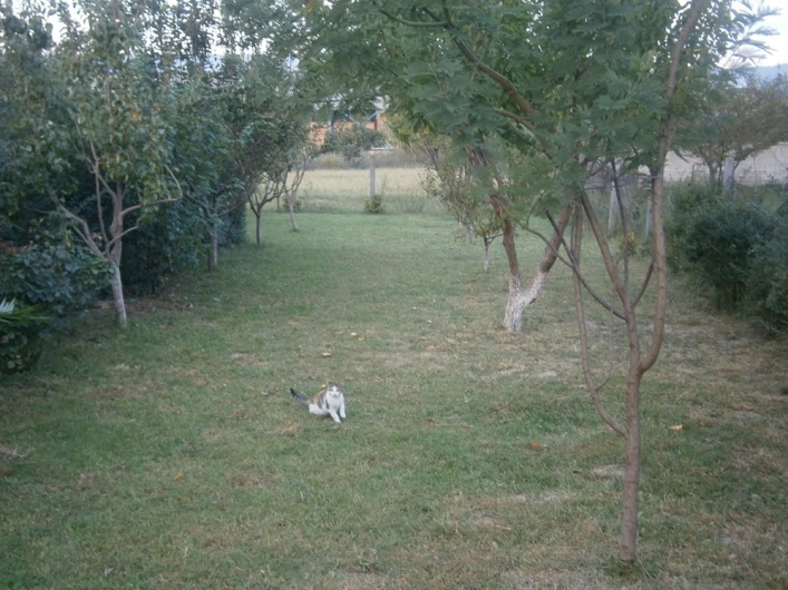 zobacz camping - zdjęcie 16