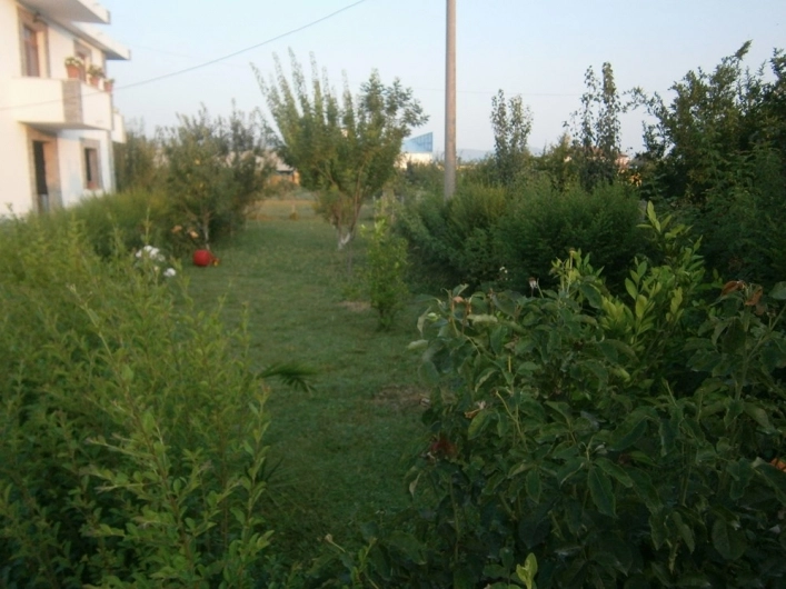 zobacz camping - zdjęcie 15