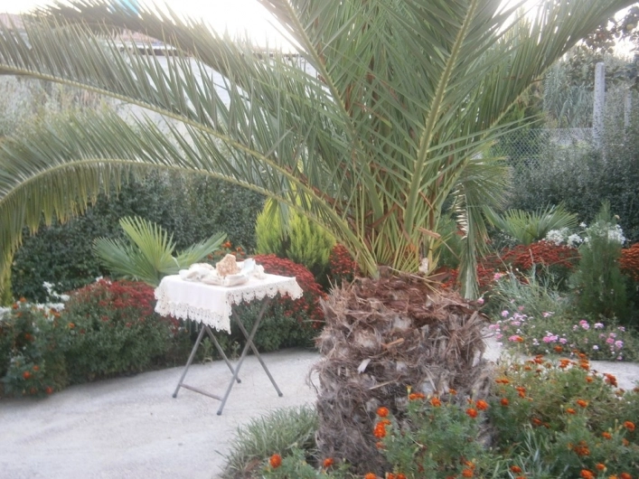 zobacz camping - zdjęcie 7