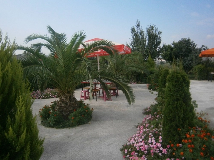 zobacz camping - zdjęcie 5