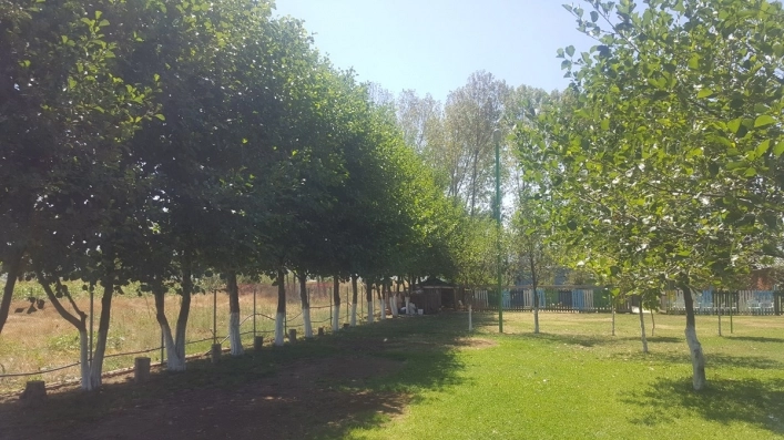 zobacz camping - zdjęcie 1